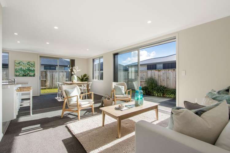 10a Park Road Katikati_4