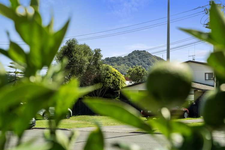 4/3 Puriri Street Mount Maunganui_5