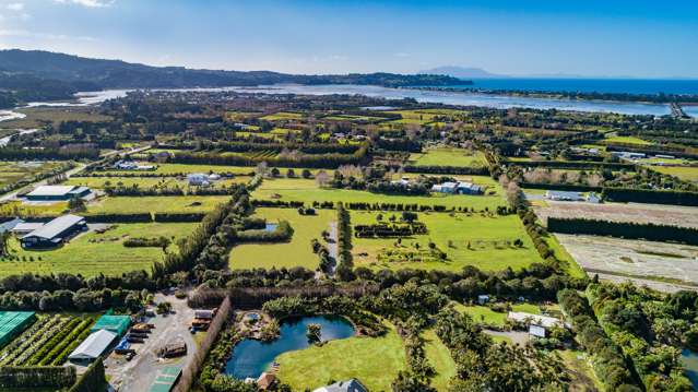 Showcase land holding – Omaha / Matakana