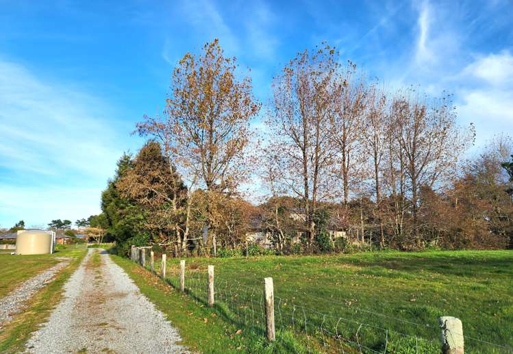 Pandora Avenue Camerons_11