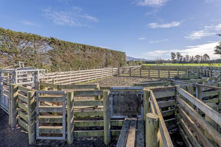 1963 Ealing Montalto Road Ashburton Surrounds_11