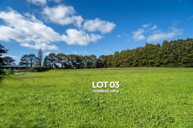 Lot 3 Kowhai Estate Kumeu_3