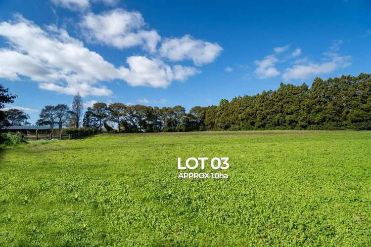 Lot 3 Kowhai Estate_4