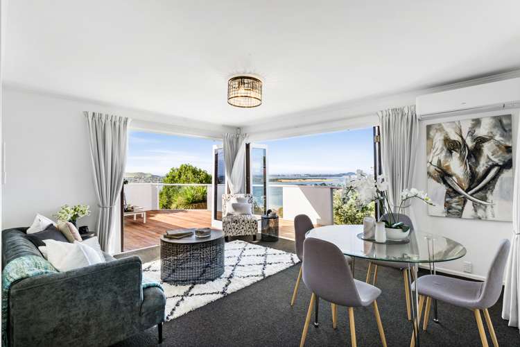 65 Carlton Street Hillsborough_5