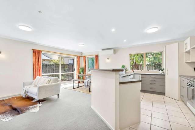 254A Kamo Road Whau Valley_4