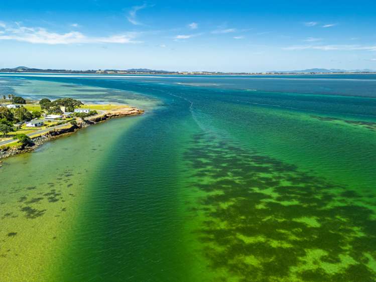 Lot 26 Kaimaumau Road Waiharara_9