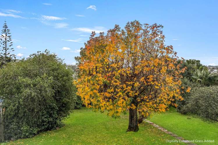 9 Norfolk Road Stanmore Bay_25