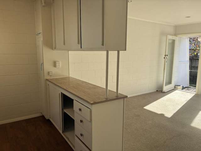 3/106A Selwyn Street 10051_3