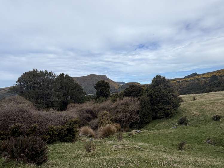490 Long Bay Road Akaroa_31