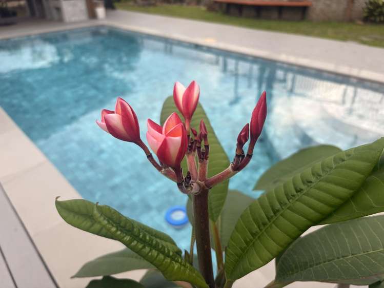 Lot 19 Tubou Street Suva_22