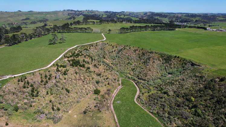 2611 Pouto Road Te Kopuru_12