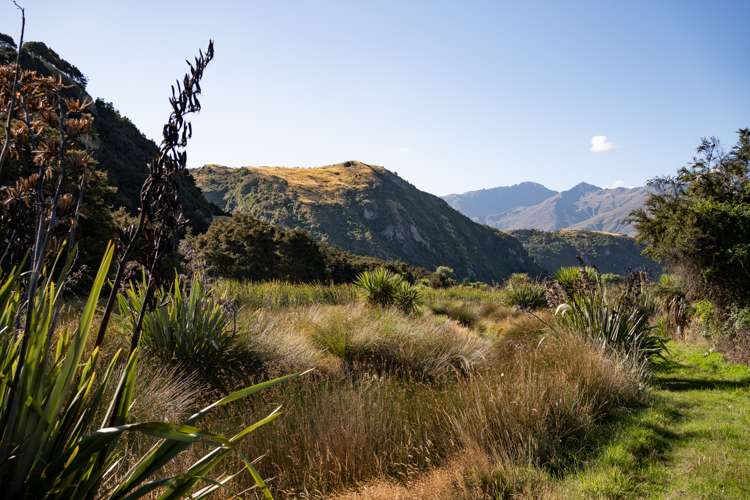 16 Emerald Bluffs Lane Glendhu Bay_8