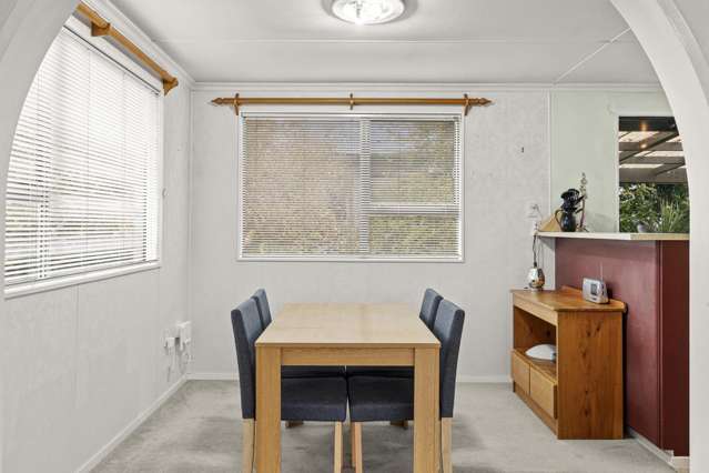 7 Pain Street Bulls_4