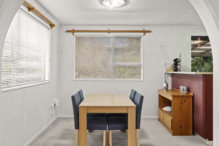 7 Pain Street Bulls_4