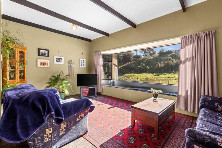 164 Hill Road Eskdale_9