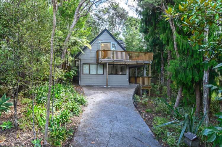 3 Kaurimu Rise Titirangi_27