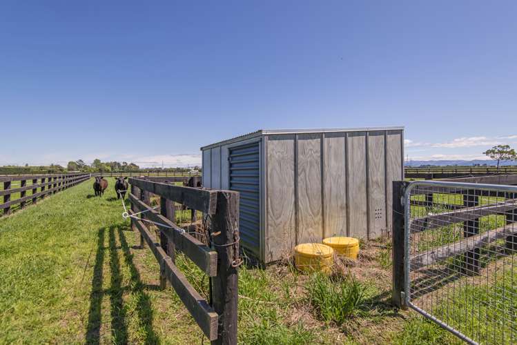289 Johns Road Fernside_9