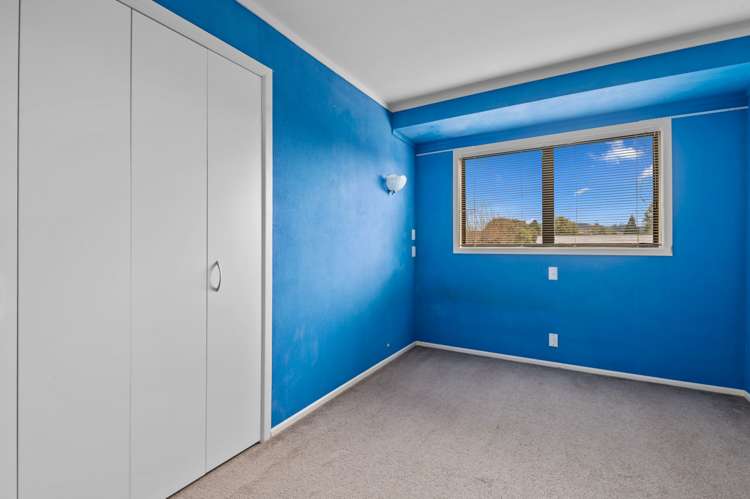 65 Springfield Road Springfield_6