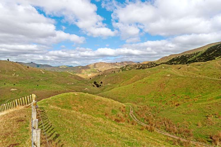 3643 Wharekopae Road Rere_11