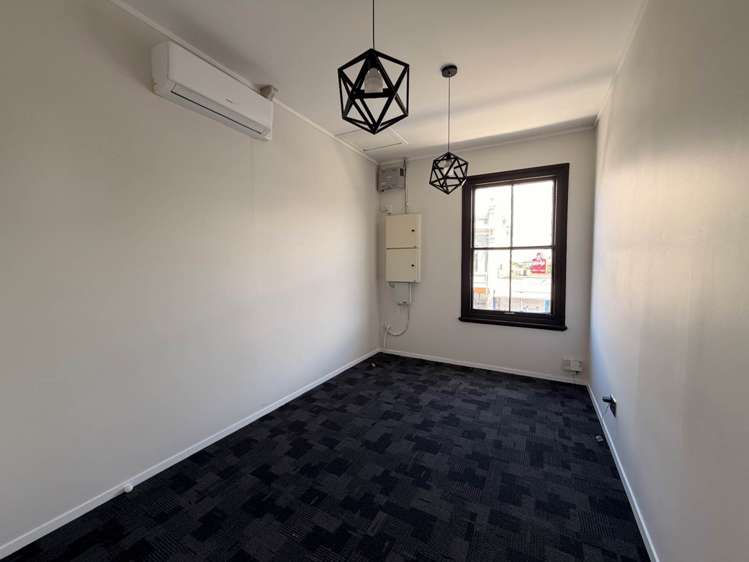 224A Dominion Road Mt Eden_6