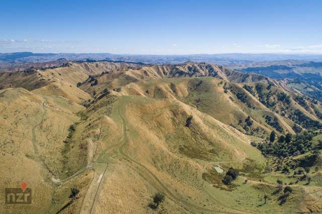 250 Makino Road Rangitikei Surrounds_3