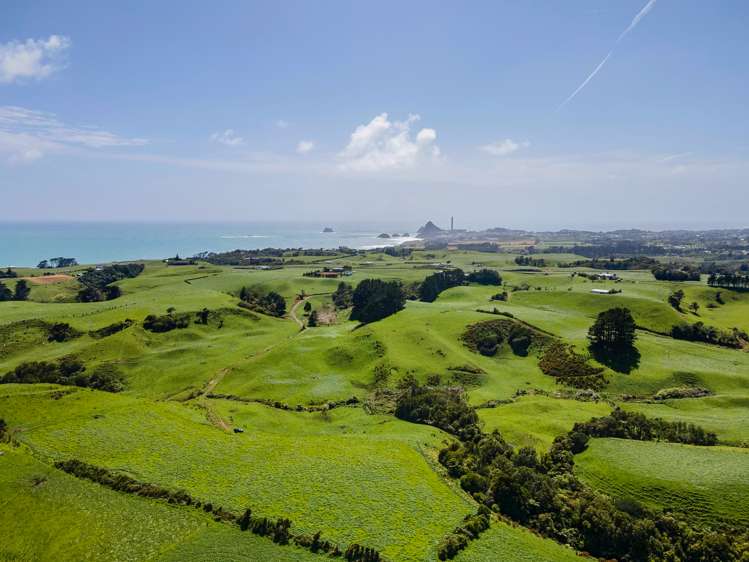 629 South Road Omata_18