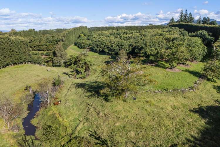 222 Wharawhara Road Katikati_12