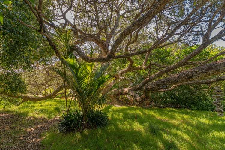 . Sh25 Te Rerenga-Kuaotunu Road Kuaotunu_19