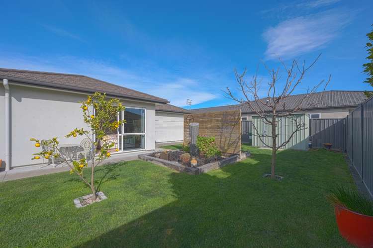 29 Aoraki Road Poraiti_15