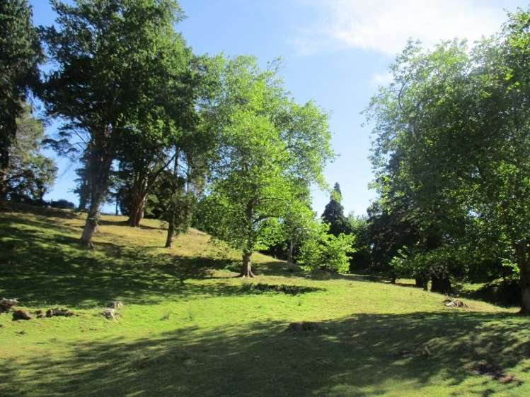 236 Smith Road Dannevirke_10