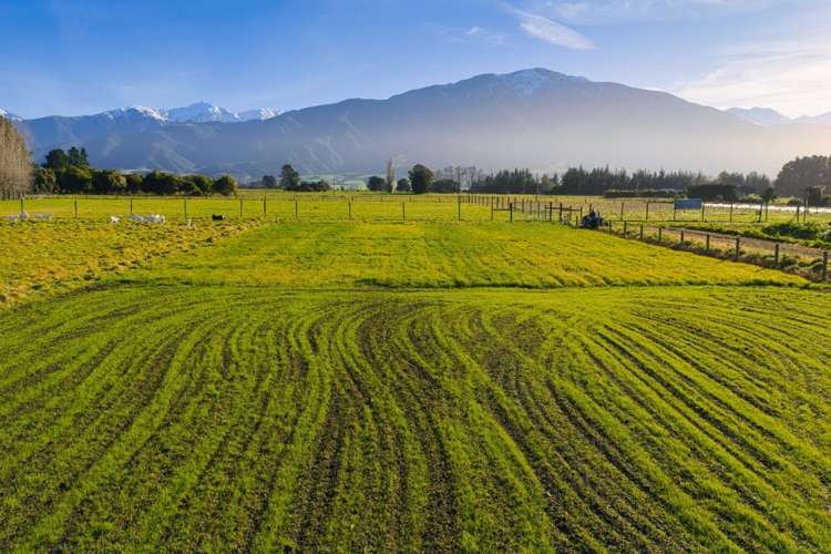 64 Kowhai Ford Road Kaikoura_21