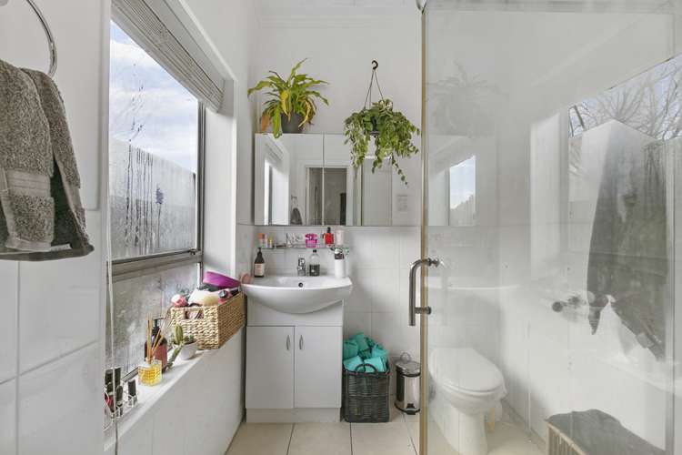 52 Wingate Street Avondale_8