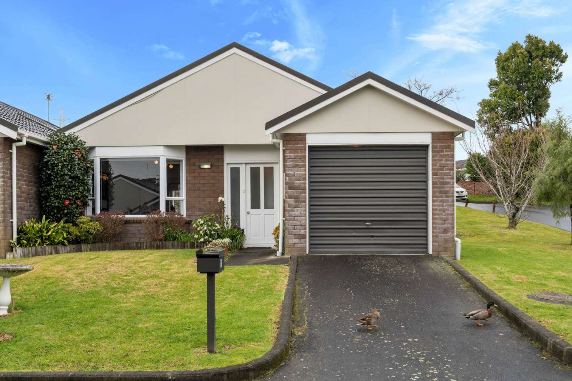 7/5 Gaynor Street Mount Roskill_0