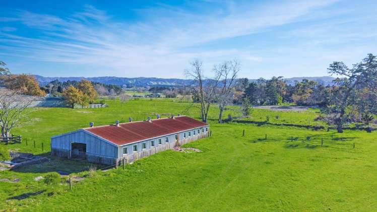220 Kawerau Road Putauaki_7