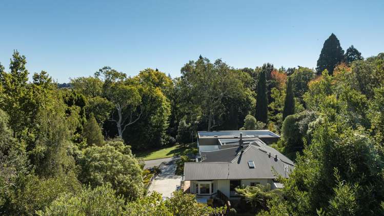 40b Van Diemen Street_2