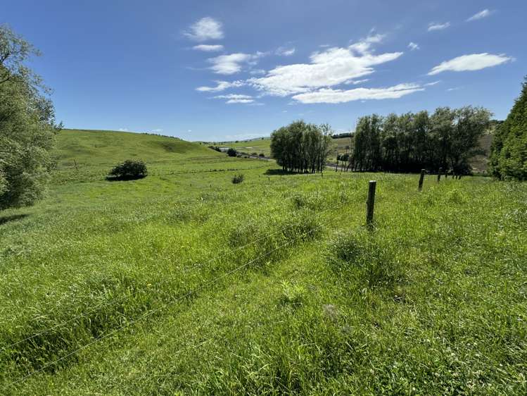 91 Mountain View Road Otorohanga_11