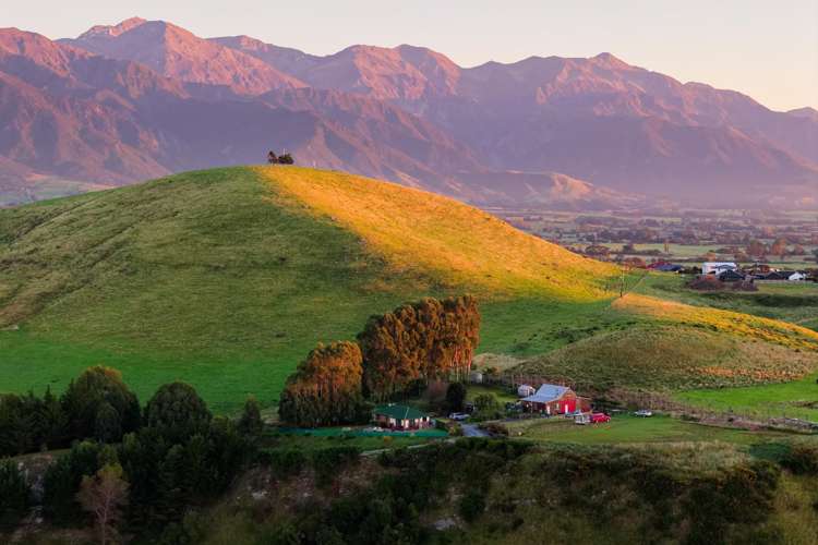 40 State Highway 1 Kaikoura Surrounds_39