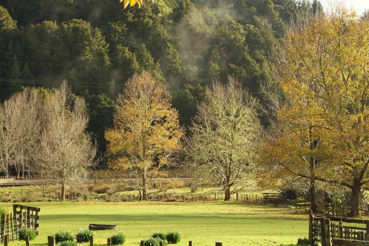 40 Linton Road Kaipara Flats_13