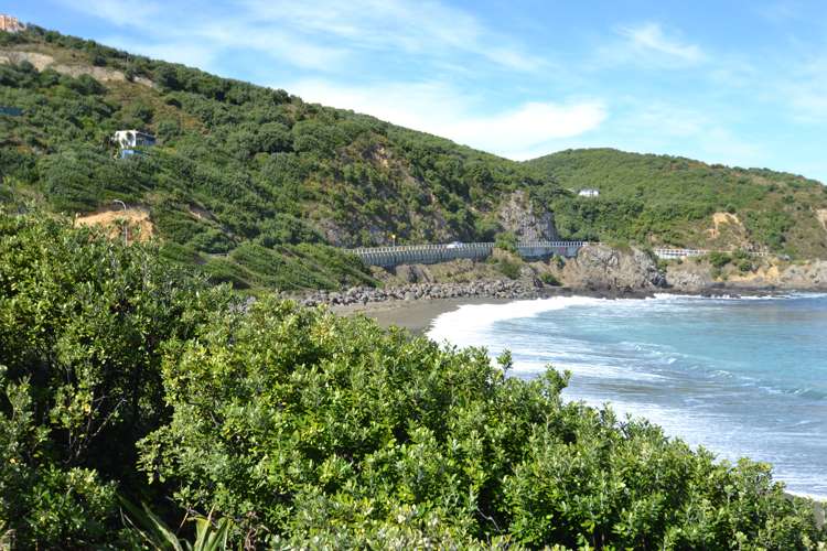 235 Houghton Bay Road Houghton Bay_5