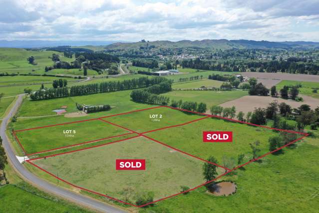 Lot 3 & 4/57 Tapairu Road Waipawa_1