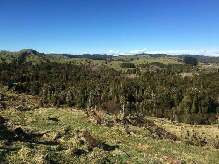 1427 Waitaanga Road Ohura_3