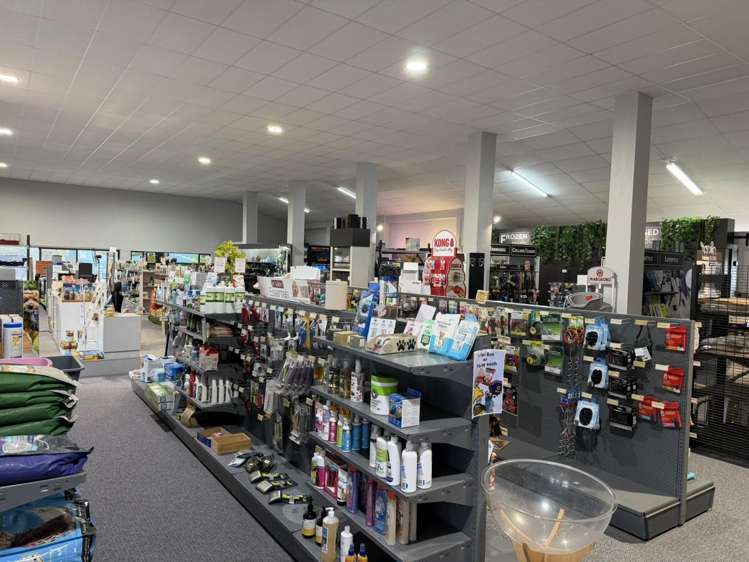 65 Molesworth Street New Plymouth_7
