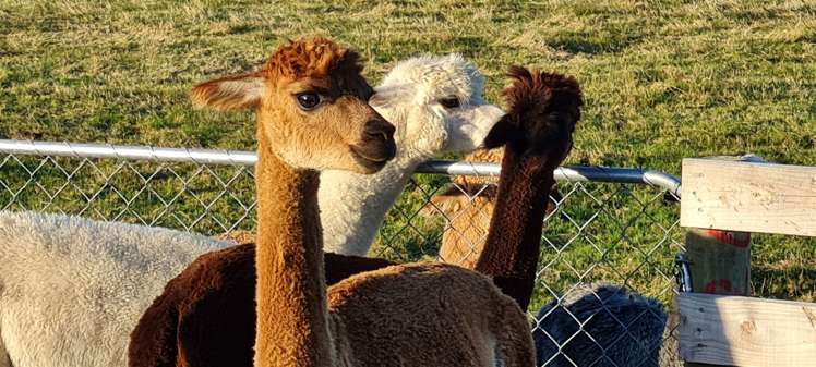 7 Skevington Lane Sefton_12