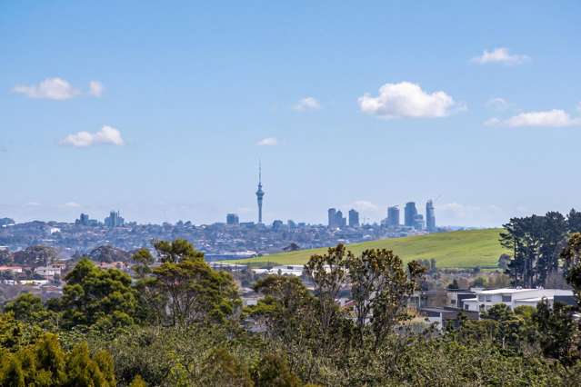 1 Tims Crescent Flat Bush_1