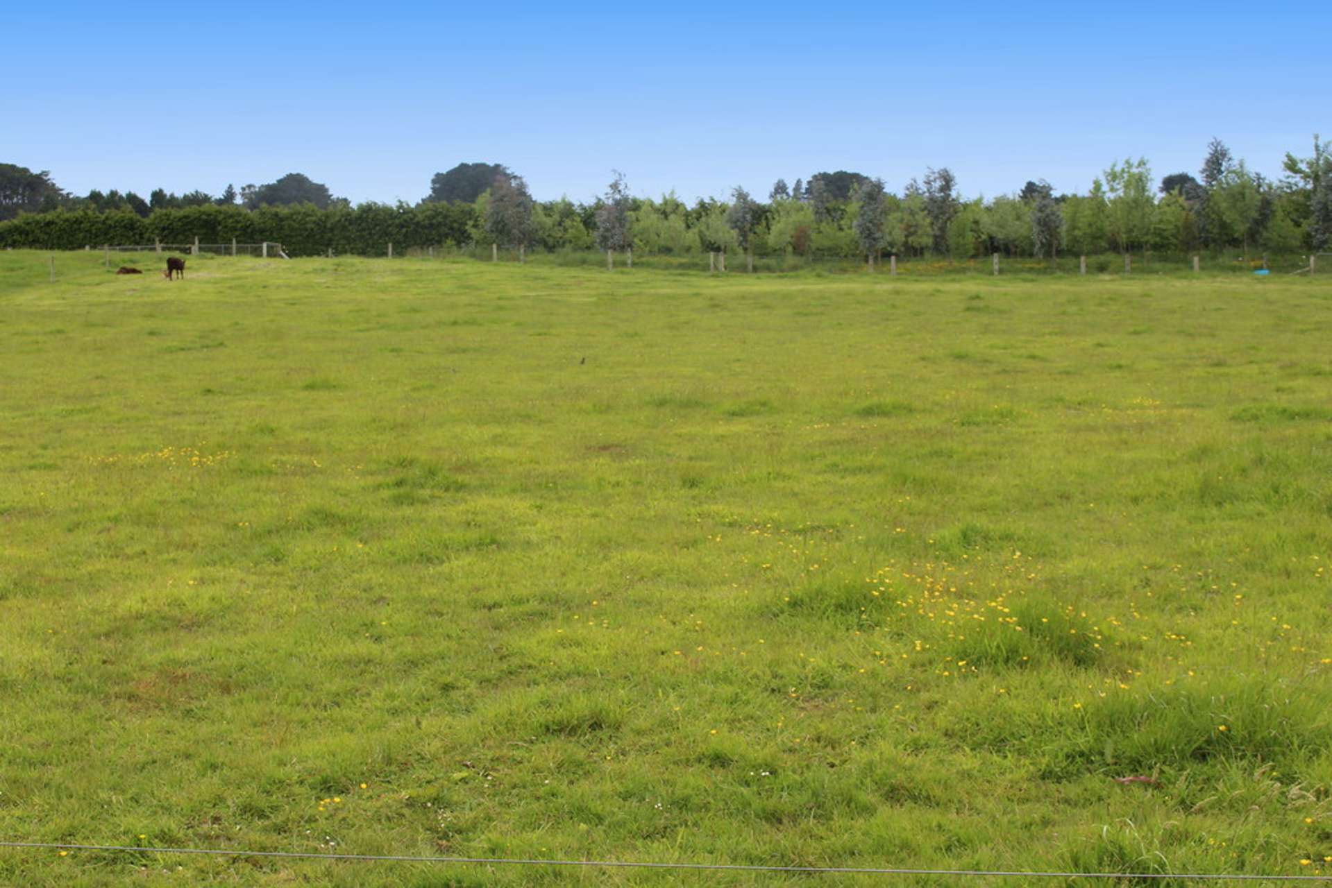 18 Kennedy Way New River Ferry_0