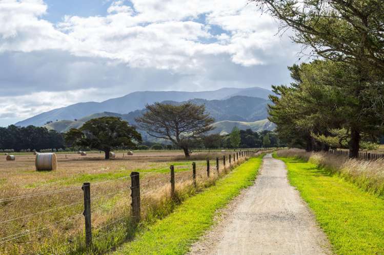 277a Woodside Road Greytown_12