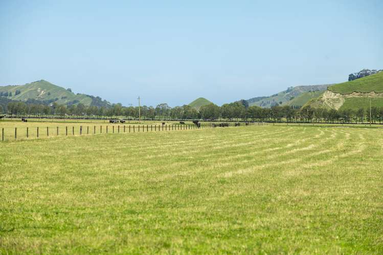 1343 Wharerata Road Muriwai_6