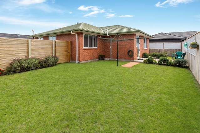 20 Simon Street Tawhero_3