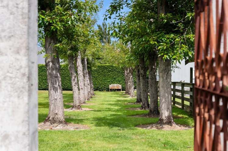 26 Grey Street Martinborough_30