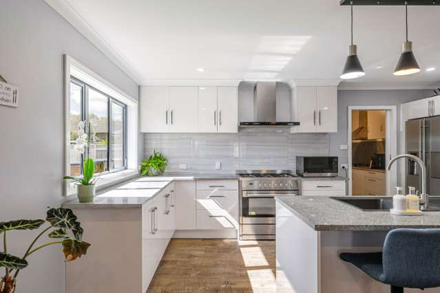 38 Airport Drive Milson_3